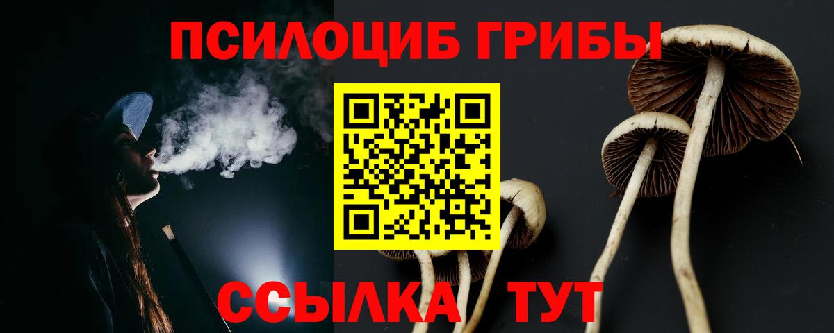 Назарово  Галлюциногенные грибы ЛСД  закладка  Вход с VPN 